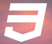 CSS3 logo